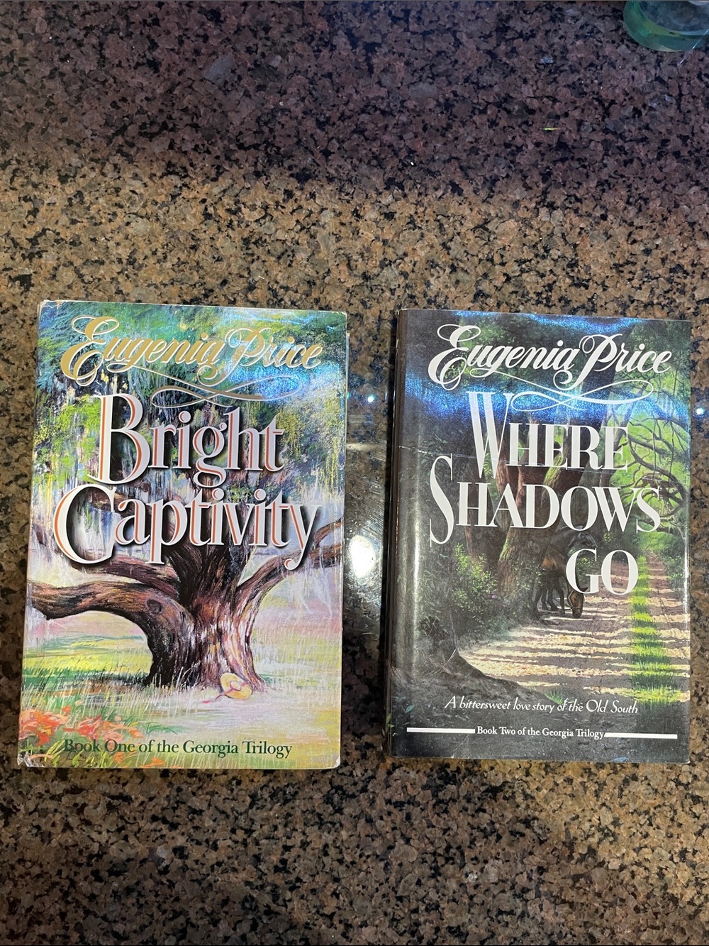 Bright Captivity Paperback - Green Cover